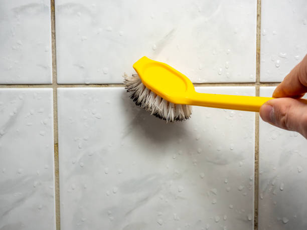 Best Water Damage Restoration  in Amesti, CA