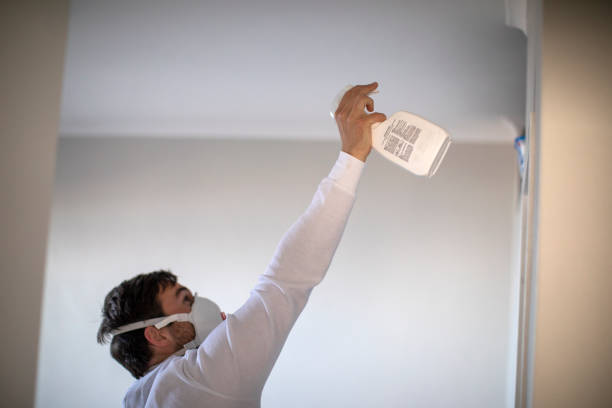 Best Mold Removal Specialists  in Amesti, CA