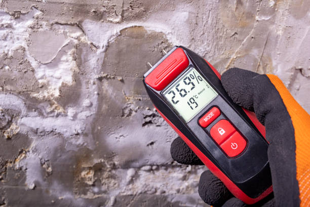 Best Commercial Mold Removal  in Amesti, CA