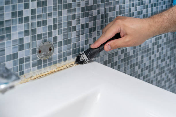 Best Attic Mold Removal  in Amesti, CA